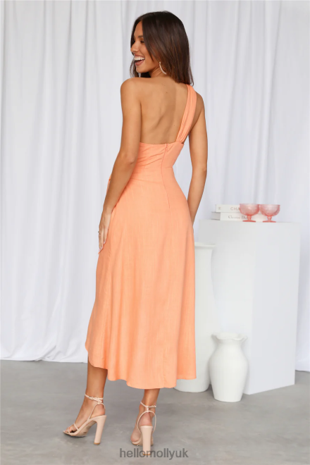 Clothing Hello Molly Holding On Midi Dress Orange 866R44102
