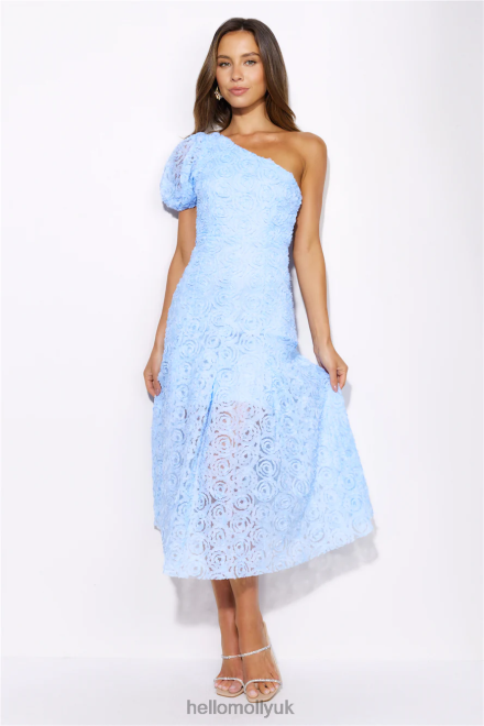 Clothing Hello Molly In Full Bloom Mesh Midi Dress Blue 866R45038