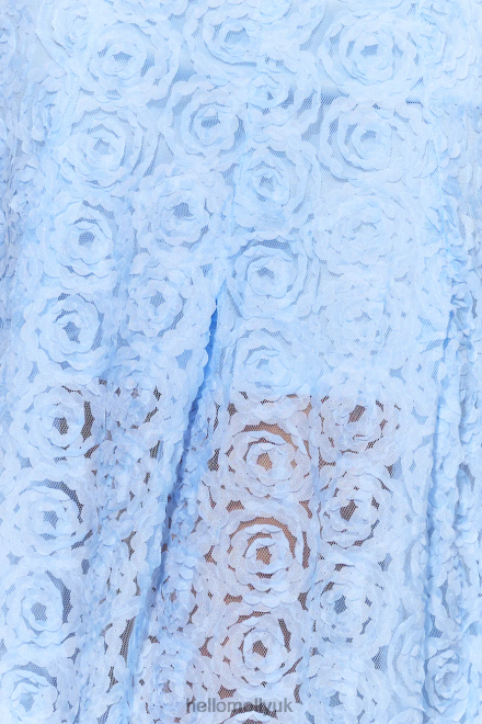 Clothing Hello Molly In Full Bloom Mesh Midi Dress Blue 866R45038