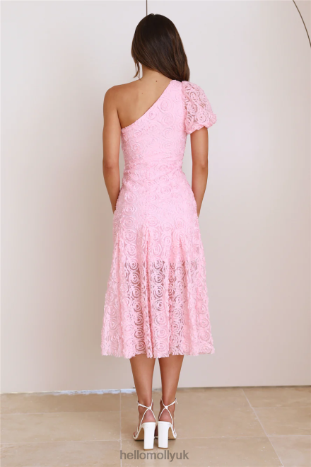 Clothing Hello Molly In Full Bloom Mesh Midi Dress Pink 866R44726